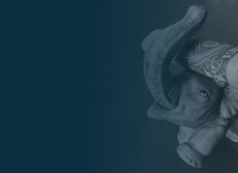 Insights - Elephant