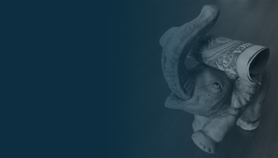 Insights - Elephant