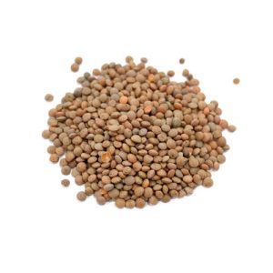 Lentils Brown
