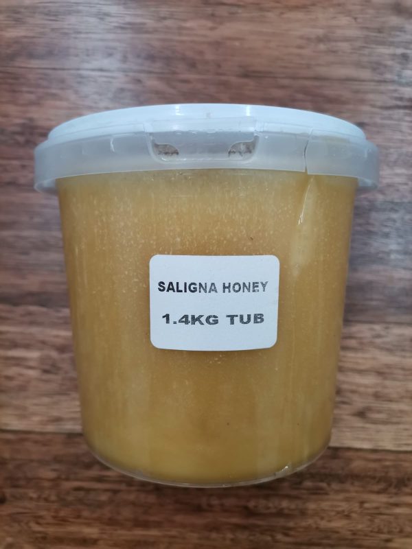 Honey Saligna