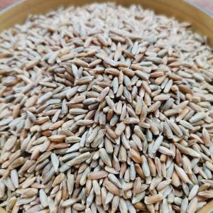 Whole Rye