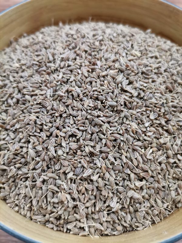 Aniseed