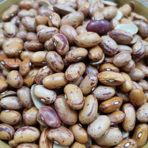 Sugar Beans