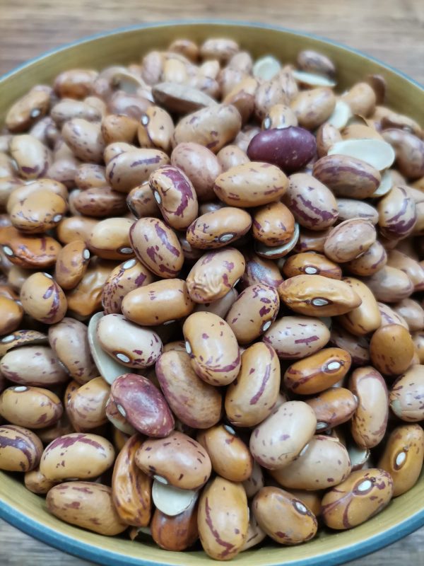 Sugar Beans