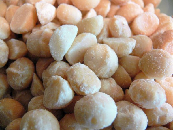 Macadamia Roasted & Salted Round