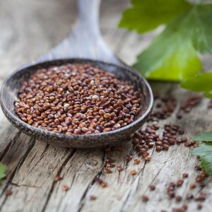Quinoa Red