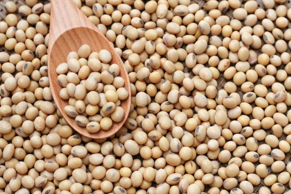 Soy Beans