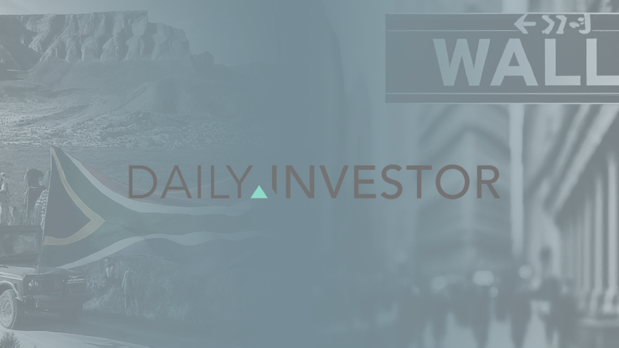 Daily Invetsor